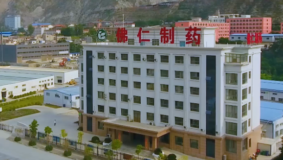 甘肃省副省长葛建团莅临恒峰g22登录入口（002219）旗下佛仁制药考察调研